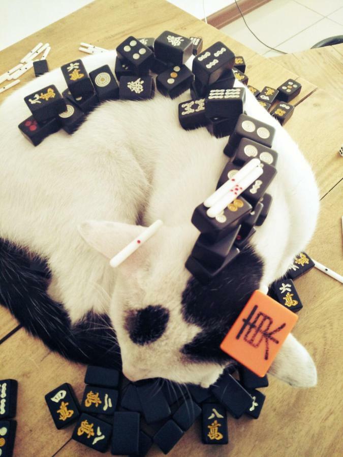 Cat Japanese Only At Uh Huh House Hostel Cebu Bagian luar foto
