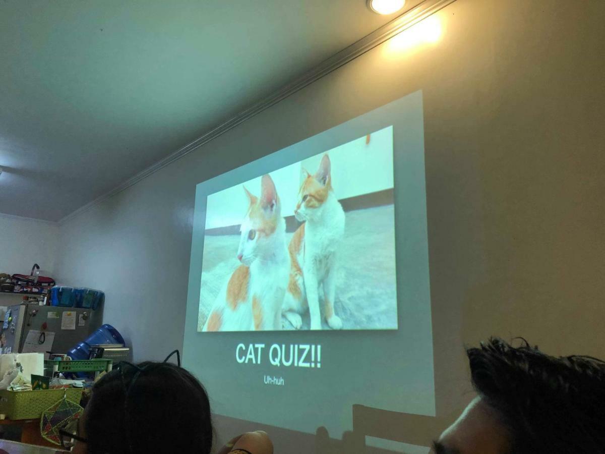 Cat Japanese Only At Uh Huh House Hostel Cebu Bagian luar foto